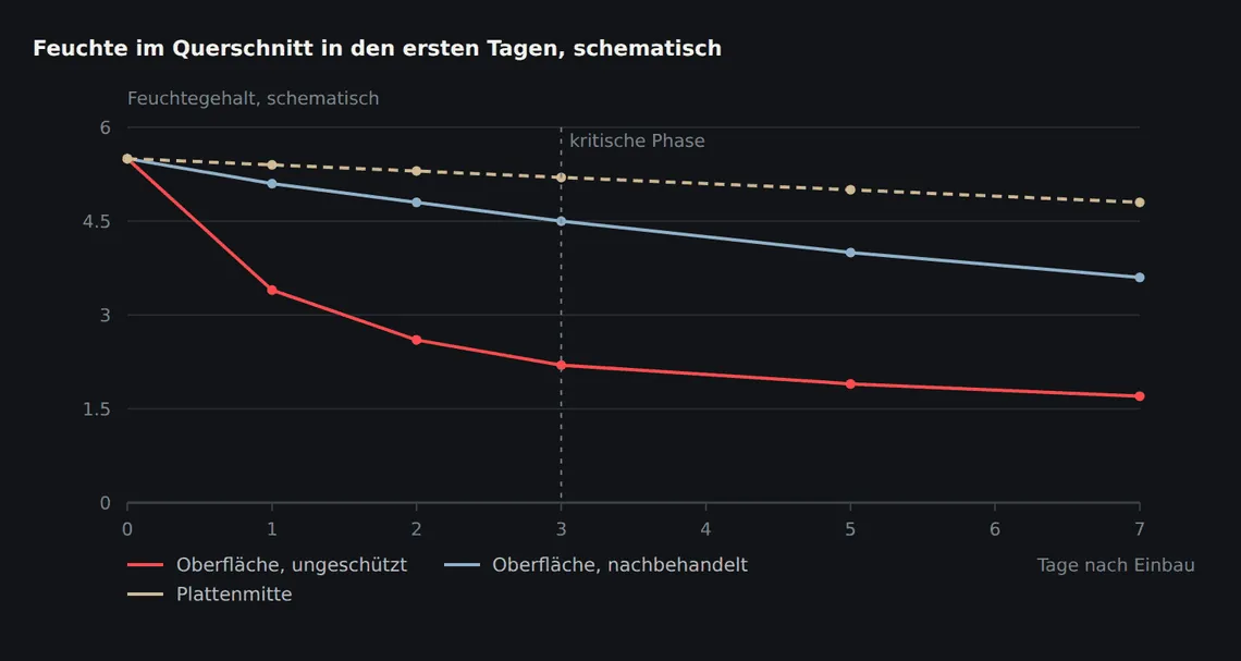 Ohne Schutz trocknet die Oberfläche weit schneller aus als der Kern. Der Abstand zwischen den Kurven ist das Feuchtegefälle – und damit das Maß für Frühschwindrisse und Schüsselung.