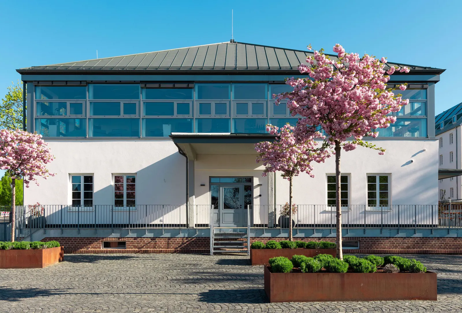Die revitalisierte Heeresbäckerei in Kassel nach der Fertigstellung, weißer Baukörper mit verglastem Obergeschoss und blühenden Kirschbäumen
